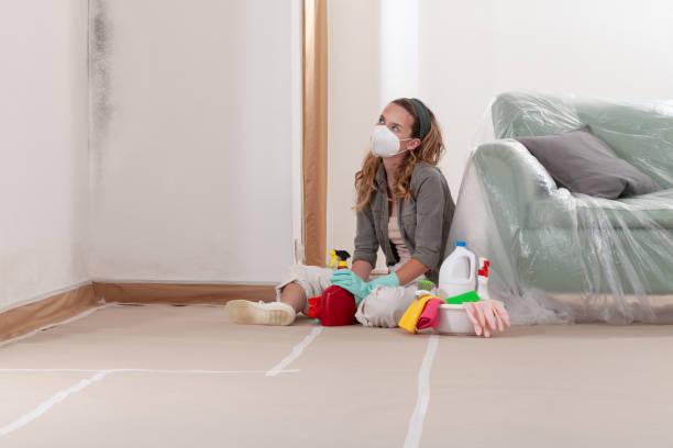 Reliable Mold Testing contractor in Cameron, TX by WQB Mold Removal